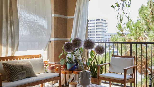 Discover the Ultimate UV Protection with Costco's New Sun Shade