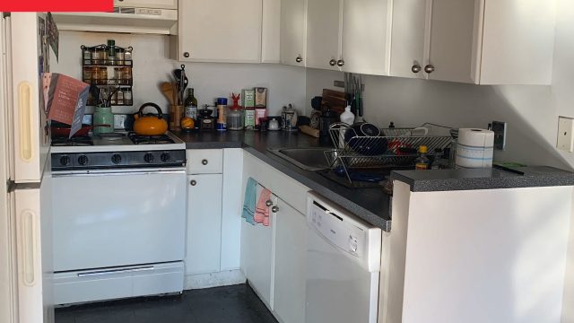 Transforming Small Spaces: A Bold Kitchen Renovation Story