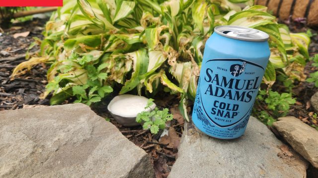 Innovative Gardening Tip: Use Beer to Deter Slugs Effectively