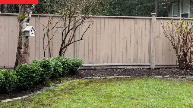 Transforming a Dull Backyard Corner into a Vibrant Garden Oasis