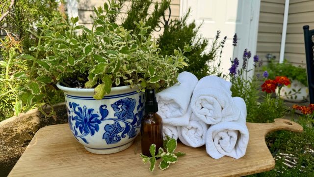 Discover the Refreshing Cooling Benefits of Mint This Summer