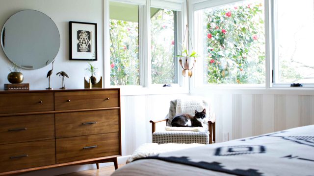 Transforming Pet Care: The Rise of Automatic Litter Boxes