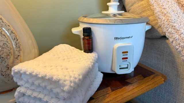 Why a Rice Cooker in Your Bathroom Could Elevate Your Home Spa Experience