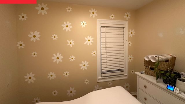 Transform Your Bedroom with Innovative Canopy Bed Ideas