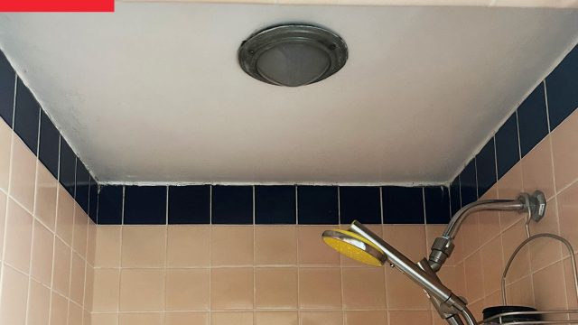 Transforming Your Shower Space with Inspiring Ceiling Murals