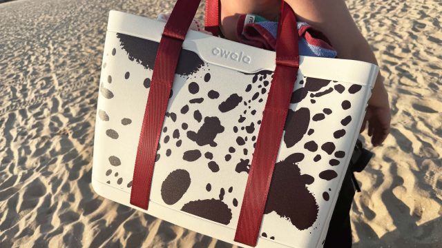 Discover the Ultimate Collapsible Tote for Your Next Beach Adventure