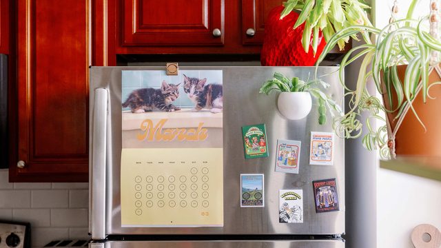Ingenious Freezer Organization: Using Dish Racks for Smart Storage