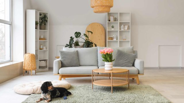 Unlock Exclusive Labor Day Furniture Deals You Can't Miss