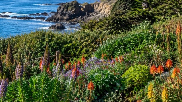 Explore the Coastal Splendor of Mendocino's Botanical Garden