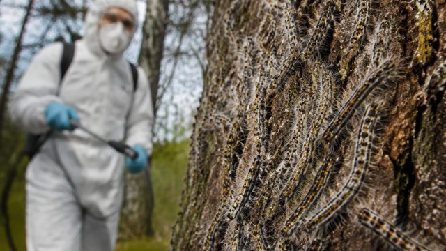 Germany Faces Urgent Threat from Toxic C