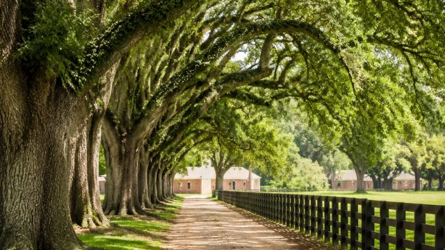 Explore the Untapped Charms of Alabama's Black Belt Region