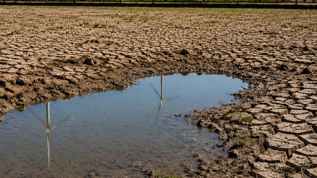 Impact of Europe's Heatwave on Sustainable Energy Generation